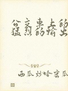 公交车上的诗请猛烈的输出阅读