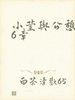 小莹与公憩第26章封面