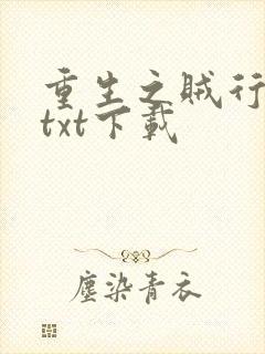 重生之贼行天下txt下载