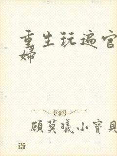 重生玩遍官场贵妇