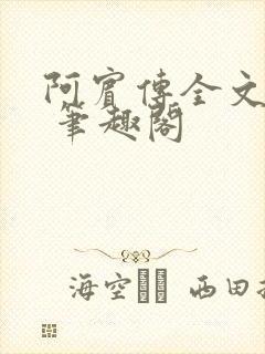 阿宾传全文阅读 笔趣阁