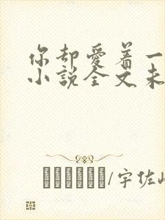 你却爱着一个他小说全文未删减免费