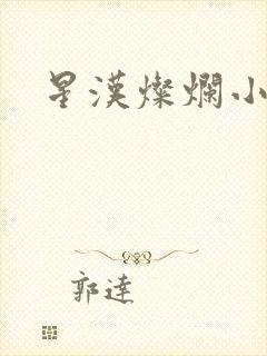 星汉灿烂小说