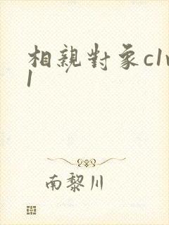 相亲对象c1v1