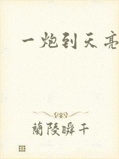 一炮到天亮封面