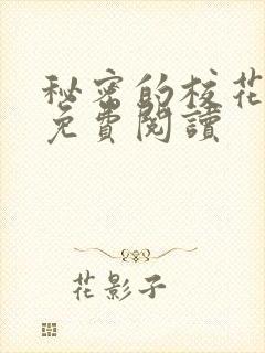 秘密的校花小说免费阅读