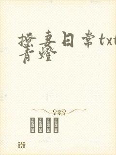 撩妻日常txt青灯封面