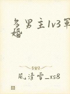 多男主1v3军婚