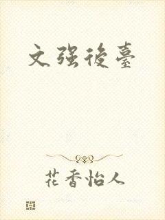 文强后台封面