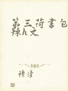 第三荷书包网高辣h文