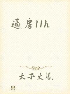 通房11h