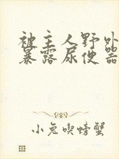 被主人野外调教暴露尿便器