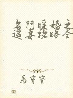 名门暖婚之权爷追妻攻略全文免费阅读封面