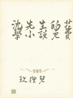 沈先生的花式教学小说免费