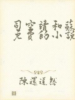 司空靖和苏月汐免费的小说笔趣阁