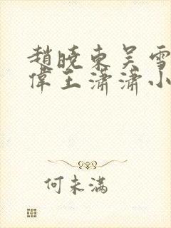 赵晓东吴雪晴郑伟王潇潇小说