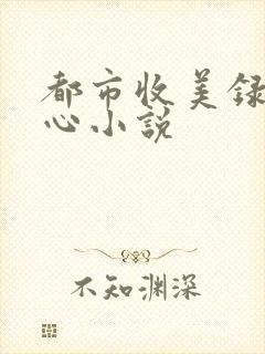 都市收美录宁素心小说封面
