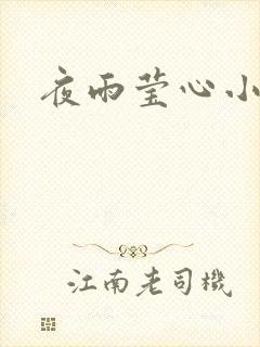 夜雨莹心小说