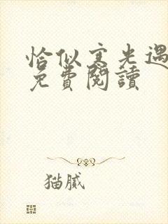 恰似寒光遇骄阳免费阅读封面