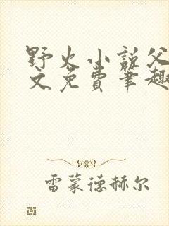 野火小说父女全文免费笔趣阁