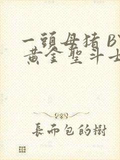 一头母猪 BY 黄金圣斗士封面