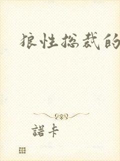 狼性总裁的尤物封面