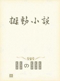 挺动小说封面