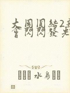 大团圆结2亲情会闪闪发光亲情会免费阅读