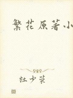 繁花原著小说