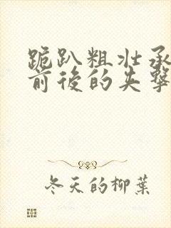 跪趴粗壮承受着前后的夹击