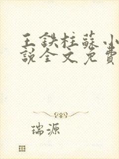 王铁柱苏小汐小说全文免费阅读最新章节