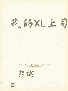 我的XL上司封面