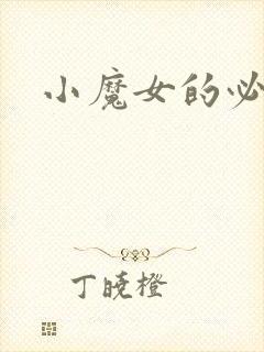 小魔女的必杀技封面