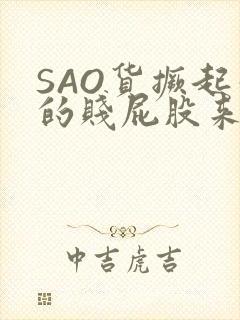 SAO货撅起你的贱屁股来