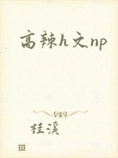 高辣h文np