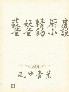 苏妖精厨房爹爹爸爸的小说