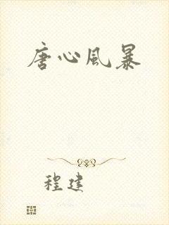 唐心风暴封面