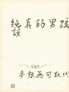 纯真的男孩子小说