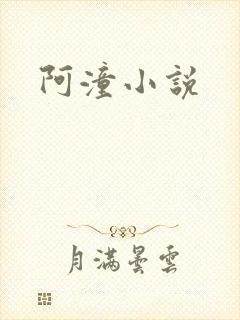阿潼小说封面