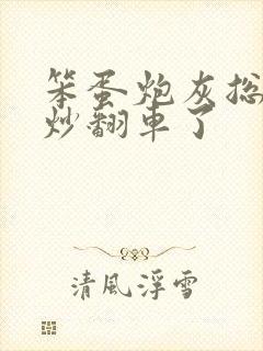 笨蛋炮灰总被爆炒翻车了