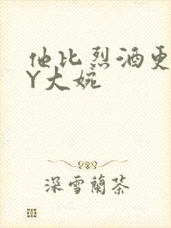 他比烈酒更撩BY大婉