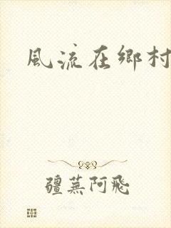 风流在乡村