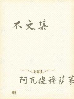 不文集封面