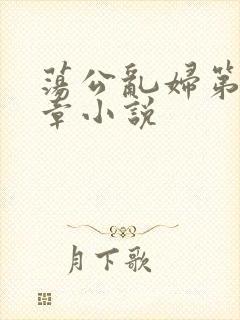 荡公乱妇第51章小说