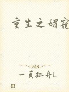 重生之媚宠系统