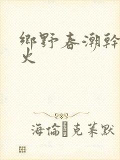乡野春潮干柴烈火封面