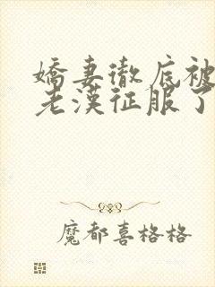 娇妻彻底被门卫老汉征服了封面