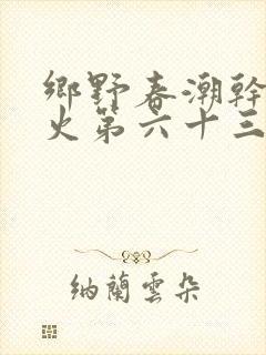 乡野春潮干柴烈火第六十三章
