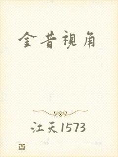 金昔视角封面