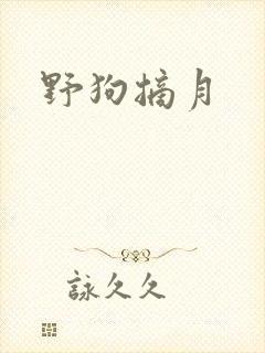 野狗摘月